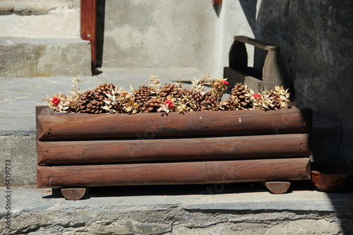 Fiori secchi