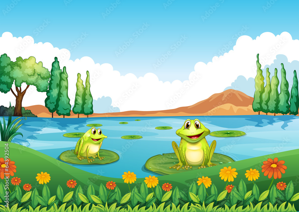Fototapeta premium Two playful frogs at the pond