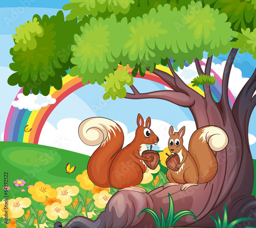 A tree with squirrels