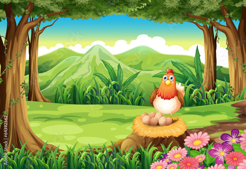 A hen above the stump