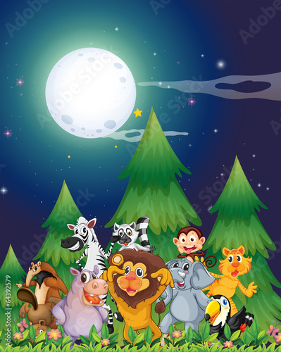 Animals near the pine trees under the bright fullmoon