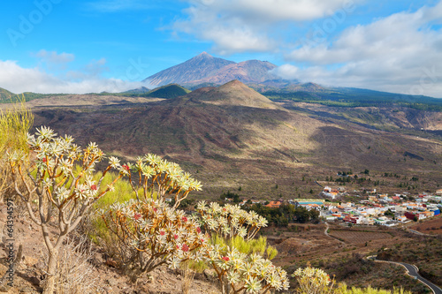 Landscape of Tenerife. Spain
