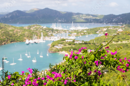 Purple Flowers on Hill with Yachts in Background © dbvirago