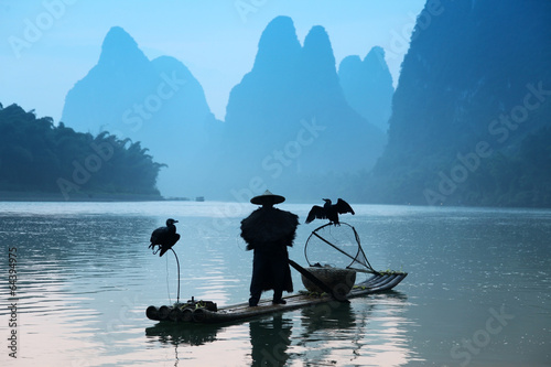 Chinese man fishing with cormorants birds , traditional fishing