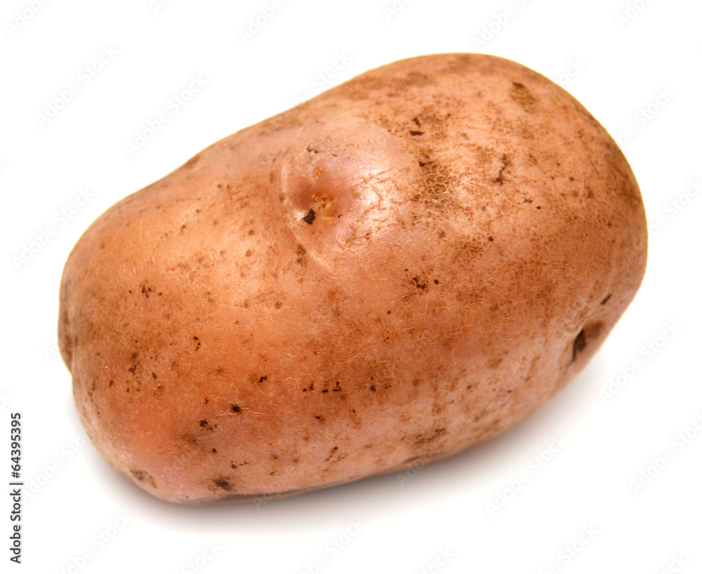 Potato