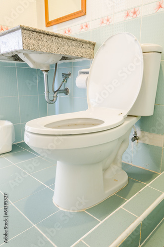 Toilet seat