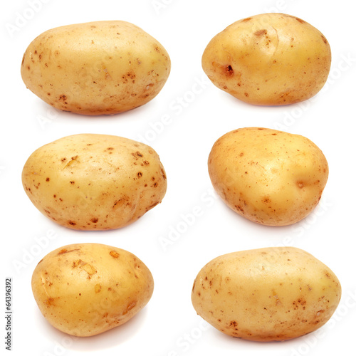 Collection of potato