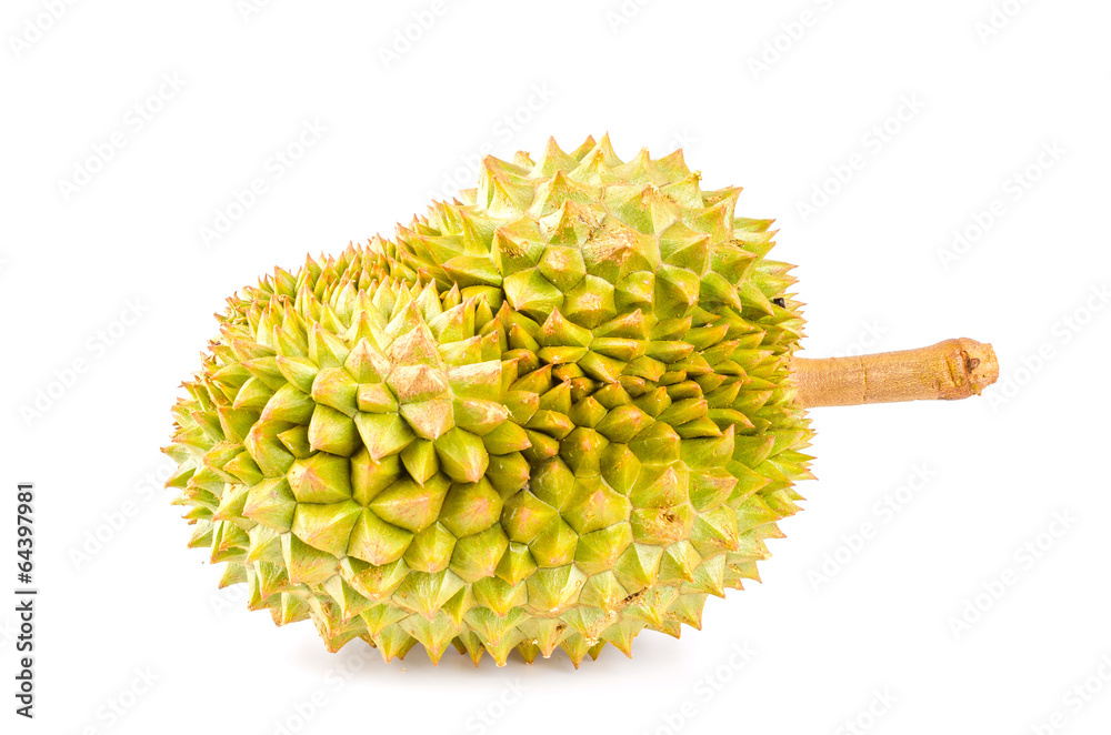 Durian fruit isolated white background Durian fruit isolated white background