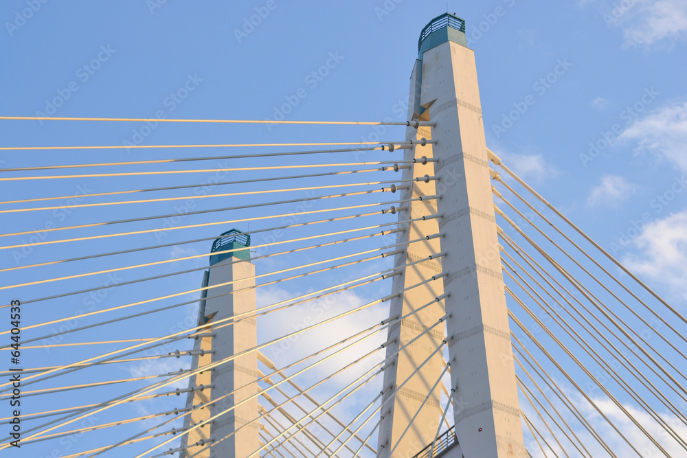 Fototapeta premium Cable-Stayed Bridge in St.Petersburg