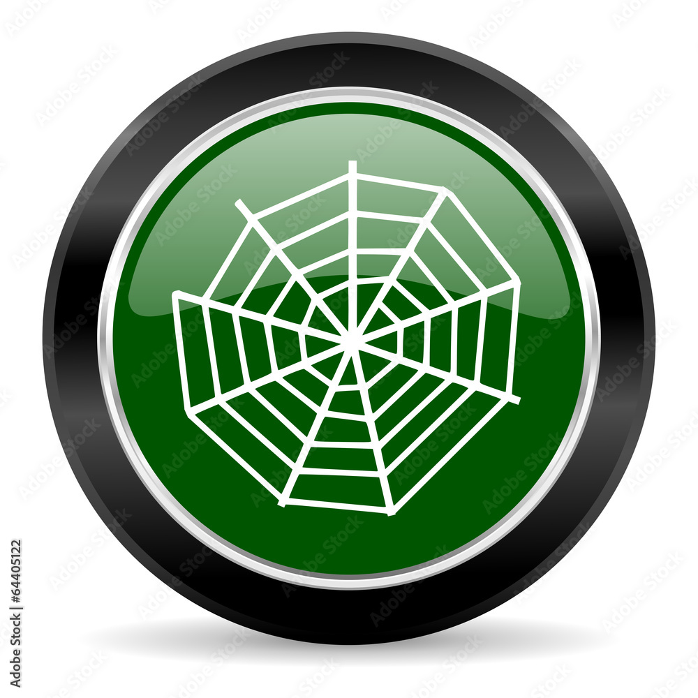 spider web spider web