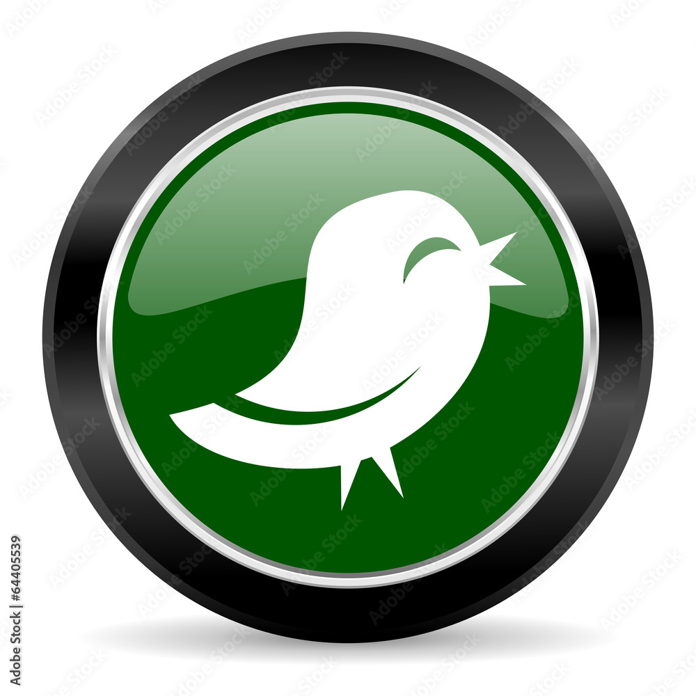 twitter icon twitter icon