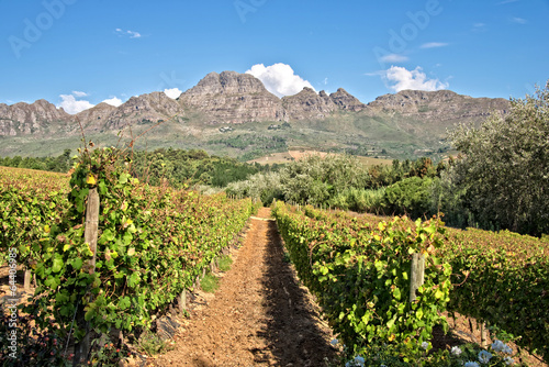 Stellenbosch, South Africa