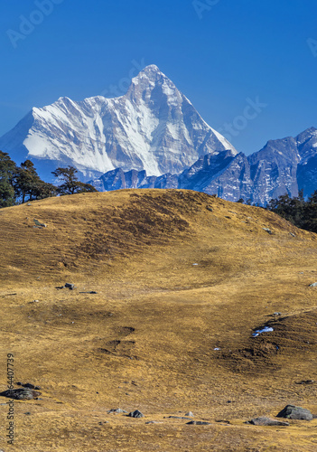 dry meadow with conical Snow clad peak in Background photo