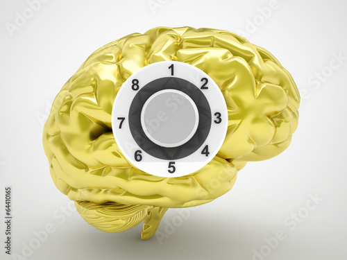 gold safe brain photo