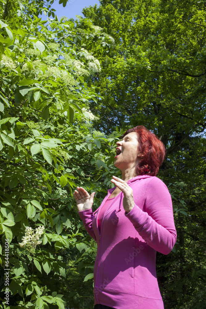 Allergy to pollen: mid aged woman sneezing among elder blossoms Allergy to pollen: mid aged woman sneezing among elder blossoms