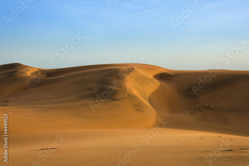 andscape  desert  golden sands and blue sky in Africa