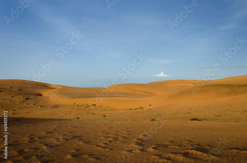 andscape, desert, golden sands and blue sky in Africa