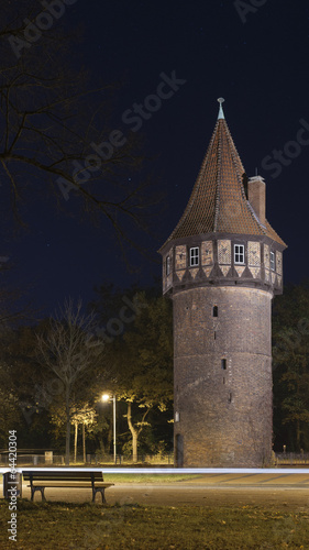 Medieval watchtower (old castle)