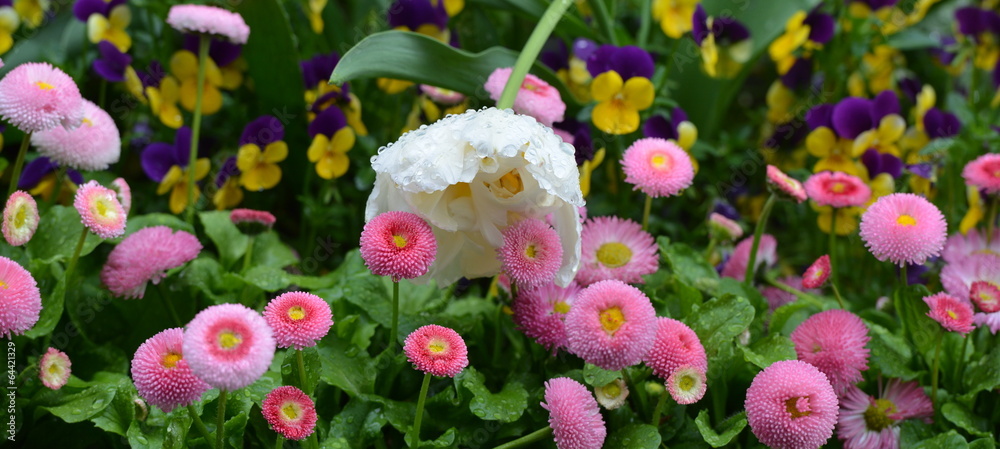 fleur fleur