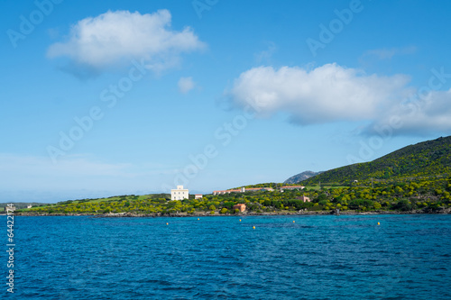 Asinara island in Sardinia, Italy