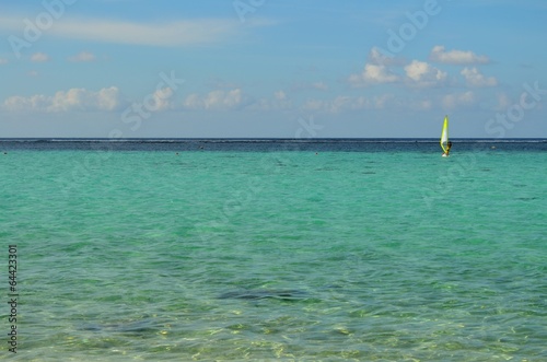 Sailboarder on the Ocean