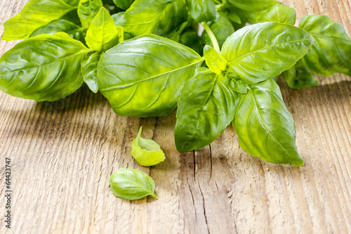 Basil leaves isolated on wooden background