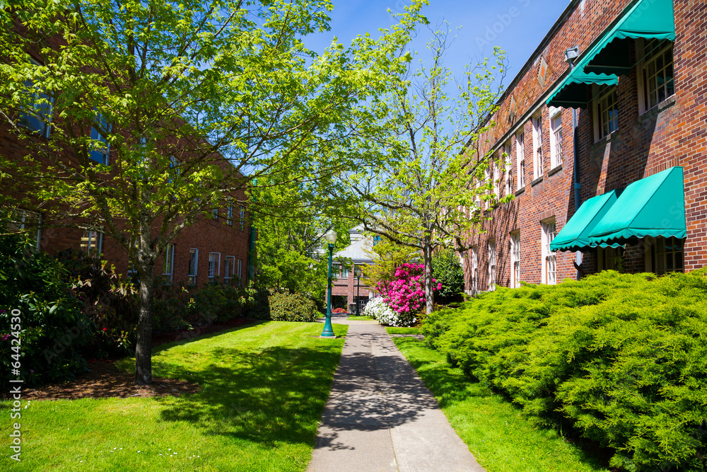 Fototapeta premium Empty Spring Walkway University of Oregon