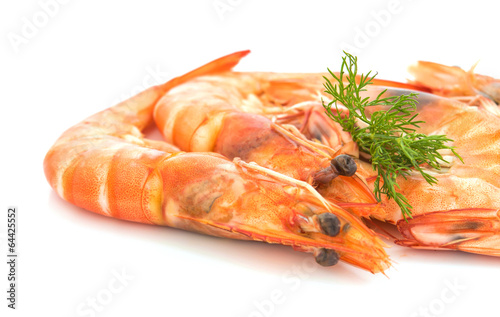 fresh shrimp isolated on a white background