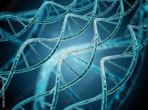 DNA strands