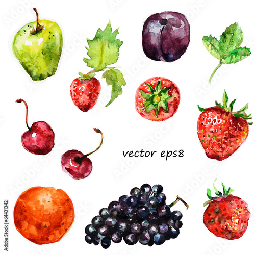 Watercolor fruit for your design.