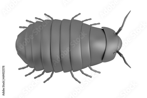 realistic 3d render of pillbug