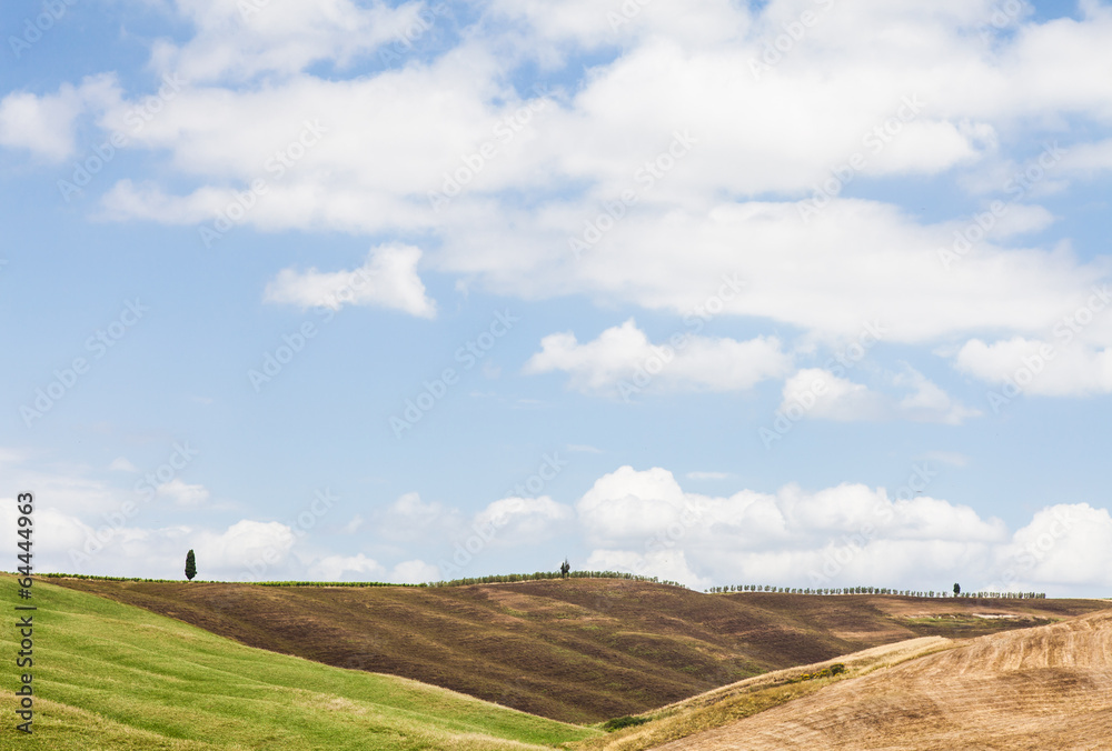 Tuscany agriculture Tuscany agriculture