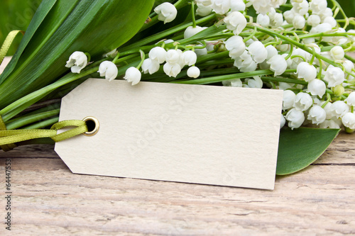 Fototapeta Naklejka Na Ścianę i Meble -  Lily of the valley