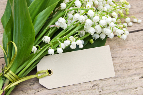 Lily of the valley photo