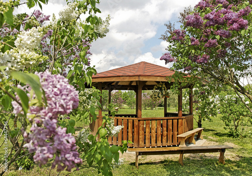 Tablou canvas Arbour in an yard.