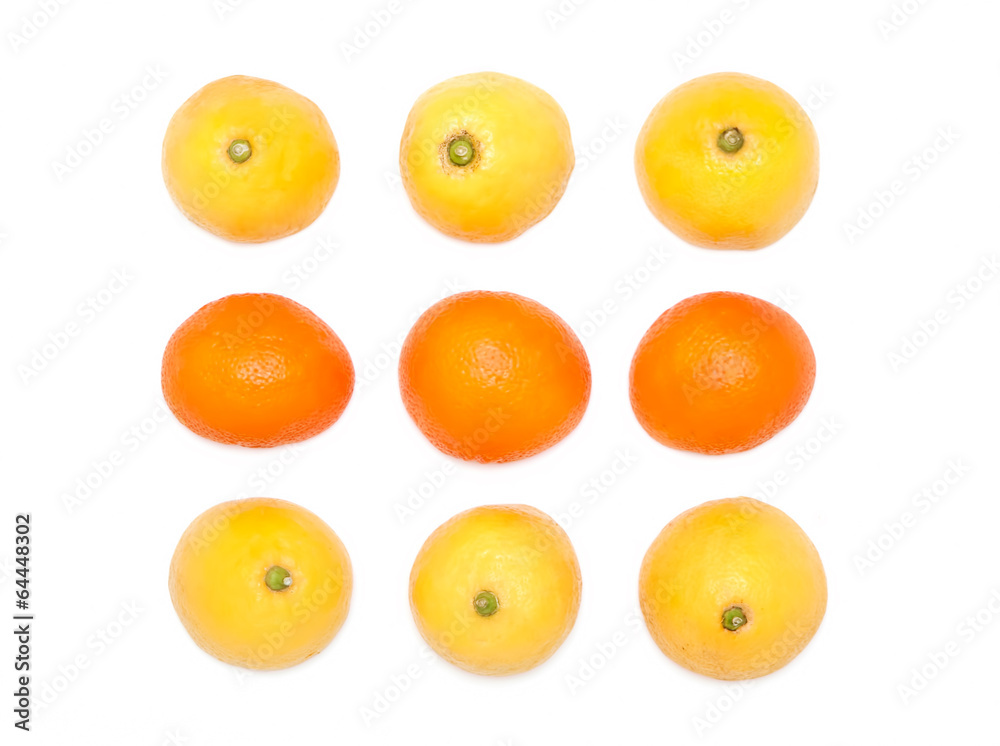 Orange and lemon fruits on a white background Orange and lemon fruits on a white background