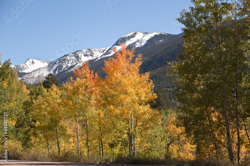 independence pass in fall colorado foliage