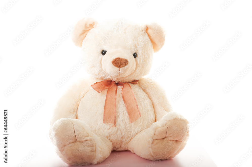 Fototapeta premium teddybär 5