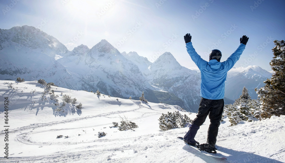 Alpine Winter sports