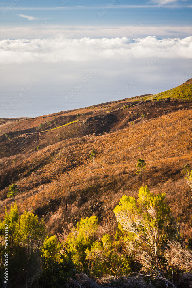 beautiful landscape with sunset in Madeira island. Portugal beautiful landscape with sunset in Madeira island. Portugal