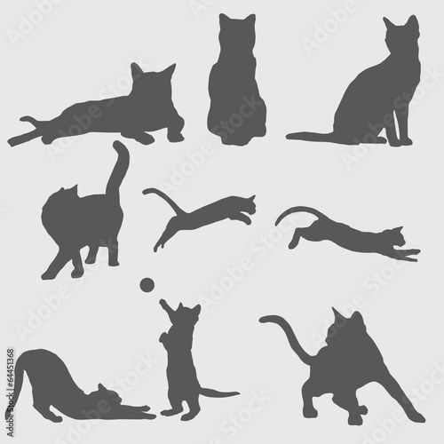 фотографія 9 cat silhouettes