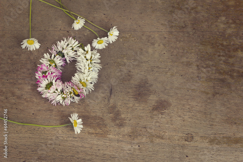 Fototapeta Naklejka Na Ścianę i Meble -  Wreath of daisies