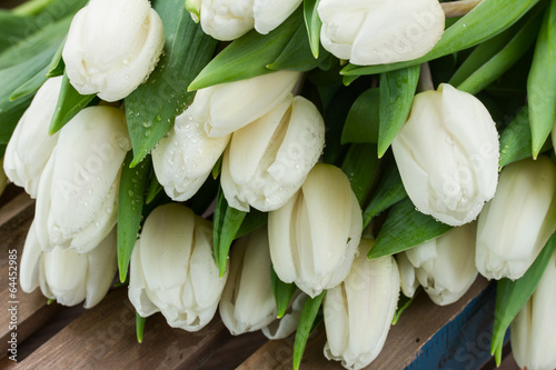pile of white tulips