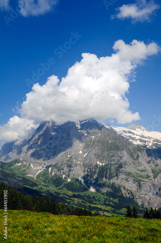 Wetterhorn, Bernese Alps, Switzerland