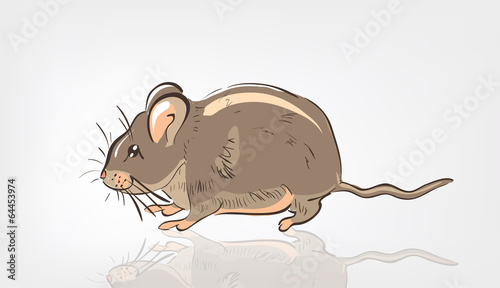 Cartoon Rat