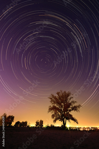 Tree background at night with startrail