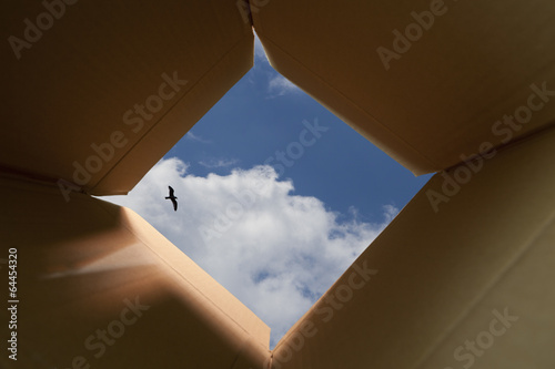 Thinking Outside The Box Concept