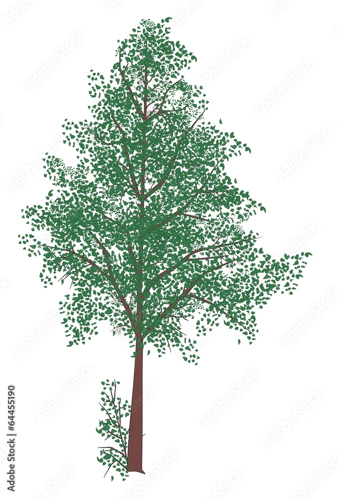 vector tree with leaves