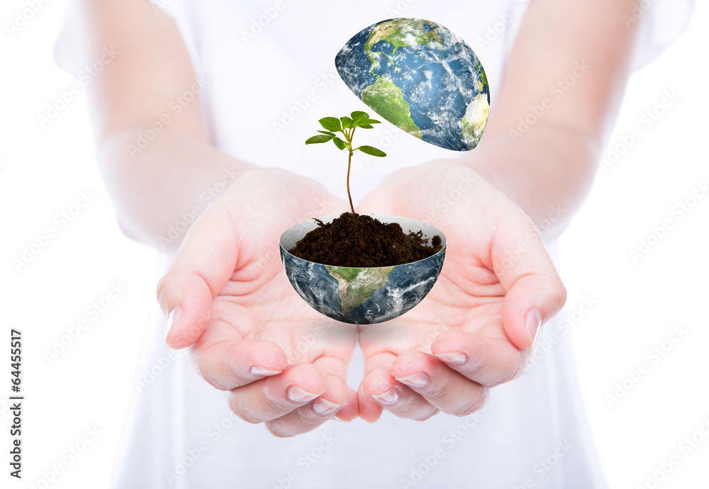 Hand hold young plant in earth isolated on  white background  (E