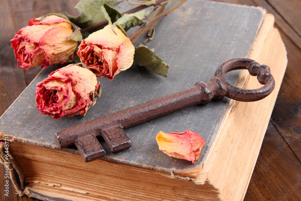 Beautiful composition with old key and old book